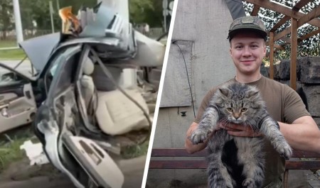 Боец ехал с кольцом к невесте, чтобы сделать предложение, а стал инвалидом в ДТП. Мать пытается вернуть сына к жизни Боец ехал с кольцом к невесте, чтобы сделать предложение, а стал инвалидом в ДТП. Мать пытается вернуть сына к жизни