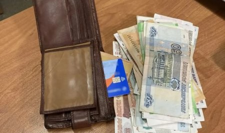 В Плесецком округе задержана воровка