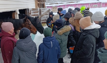 В Новодвинске школьников знакомят с профессиями в сельском хозяйстве