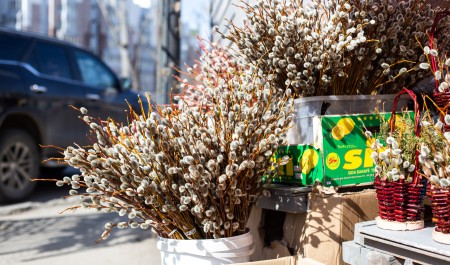 Вербное воскресенье в 2026 году: какого числа и как его правильно отмечать — приметы и традиции