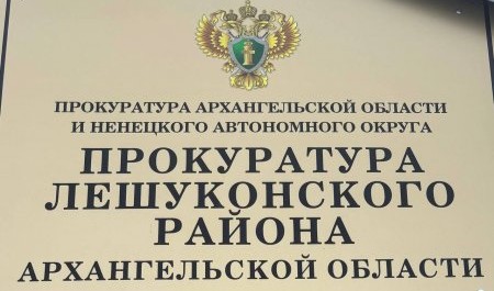 Лешуконскую несносную мать отправили в колонию-поселение