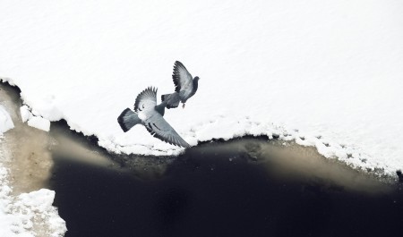 Школьники умнее вас? Тест по урокам географии для жителей Архангельской области