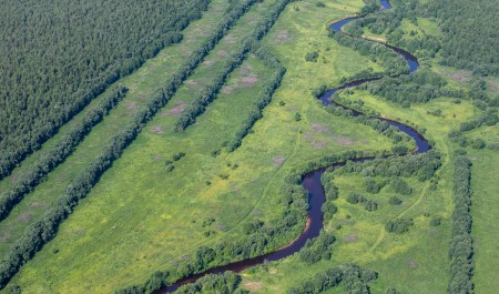 В Поморье площадь лесов, находящихся под непрерывным мониторингом, увеличилась на 1,1 млн гектаров