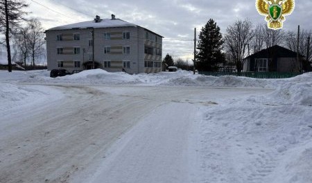 Падение девочки из Яренска обошлось администрации в 40 тысяч рублей