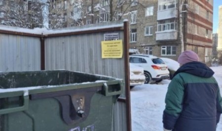 Свыше 220 очагов грызунов обнаружено в центре Архангельска за время дератизации