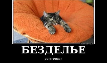 Половина архангелогородцев положительно относится к безделью