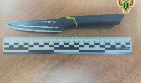 Пьяная ссора в поселке Самодед закончилась резней со смертельным исходом