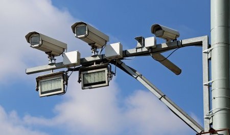 Житель Подмосковья нанес огромный ущерб Архангельской области