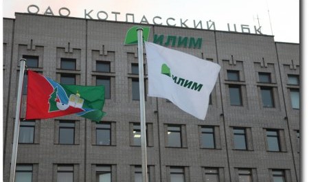 В Коряжме два сотрудника местного ЦБК попались на мошенничестве