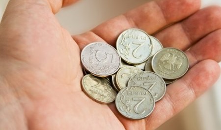 Жительница Коряжмы подкидывала мелочишко на молочишко нежелательной организации