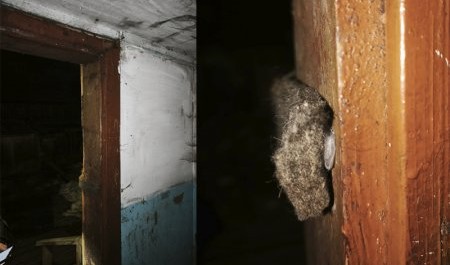 В Архангельске задержан подозрительный тип с синтетическим наркотиком