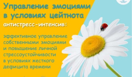 Антистресс-интенсив: как управлять эмоциями в условиях цейтнота