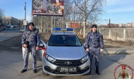 В Архангельске и Северодвинске поздравили Росгвардию праздничными коллажами на уличных баннерах и экранах