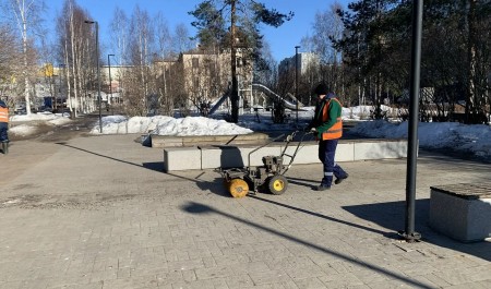 Дела весенние. Депутаты АрхГорДумы за неделю
