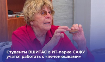 Студенты САФУ разрабатывают инновационные решения для анализа ледовой обстановки