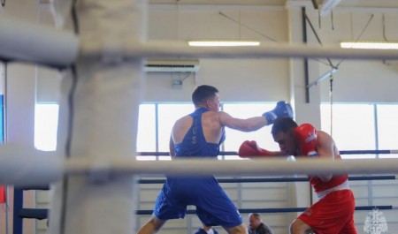 В Академии гражданской защиты стартовали всероссийские соревнования МЧС России по боксу