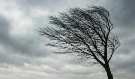 Завтра сильный ветер накроет Архангельскую область во второй половине дня