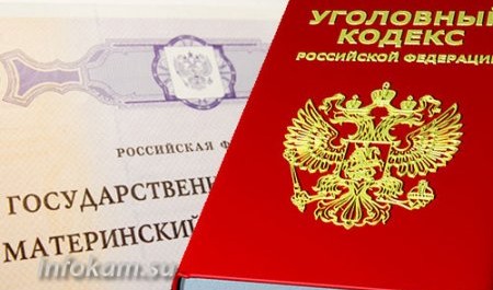 В Вельске двое пытались похитить маткапитал, но попались