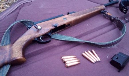 Северодвинск. Хроники несостоявшегося дачного убийства