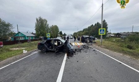 В Вельске осудили автоубийцу из Санкт-Петербурга
