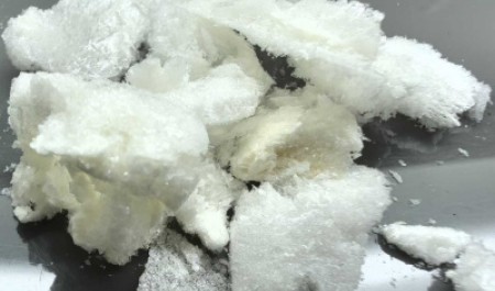 САФУ получил грант на создание иммобилизованных пробиотиков из древесного сырья