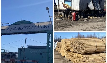 На Онежском ЛДК участились несчастные случаи