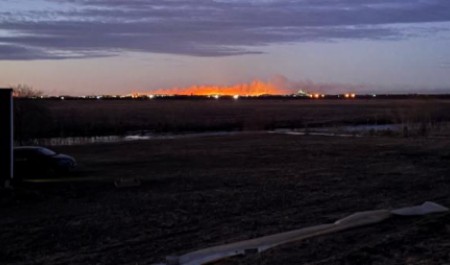 Огонь съел остров: в Архангельской области показали последствия травяного пожара