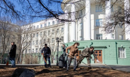 САФУ – за чистоту: субботники объединили сотрудников и студентов