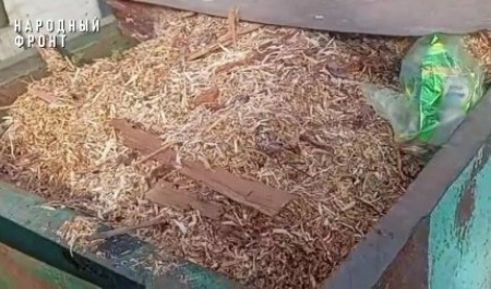 Контейнеры Пинеги завалены отходами лесопиления