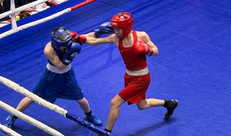 В Северодвинске пройдут региональные соревнования по боксу