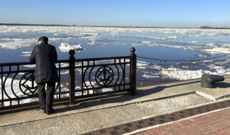 Северный ветер поднимет воду в дельте Северной Двины в Архангельской области
