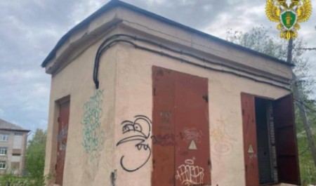 Сотрудника «Архангельских электрических сетей» осудили после трагедии с ребенком