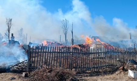Центральную островную территорию в Архангельске охватил масштабный пожар