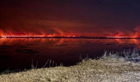После пожара на острове в Архангельской области ввели особый противопожарный режим