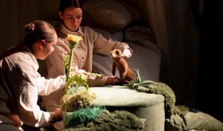 Спектакль для самых маленьких зрителей увидел свет в театре кукол Архангельска