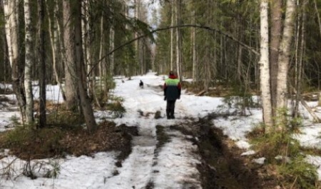 В Архангельской области исчезнувшего на рыбалке мужчину нашли мертвым