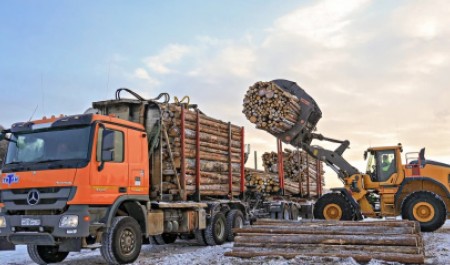 Лесопромышленный комплекс: отрасль сохраняет устойчивость и переориентируется на новые рынки