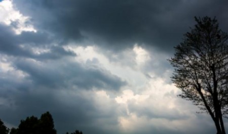 Архангельскую область накроет снежный шторм с порывистым ветром