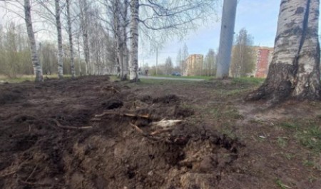 Архангельские активисты заявили о «варварском» благоустройстве парка Ломоносова