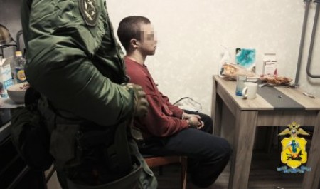 Архангельский юноша промышлял на сим-картах