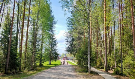 Дышать полной грудью. Депутаты АрхГорДумы за неделю