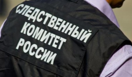 В Плесецком округе мать полгода истязала 7-летнего сына В Плесецком округе мать полгода истязала 7-летнего сына