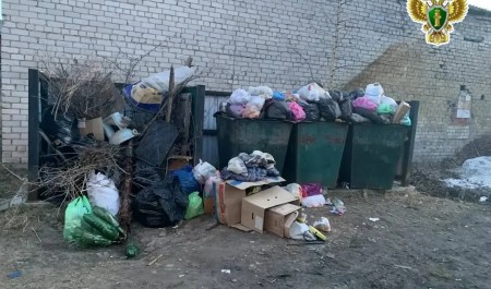 "ЭкоИнтегратор" загадил деревню под Шенкурском
