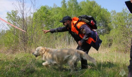 В Хабаровском крае стартовала аттестация кинологических расчетов МЧС России из регионов ДФО