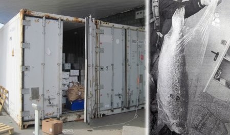 В Архангельске задержали любителя шикарной жизни
