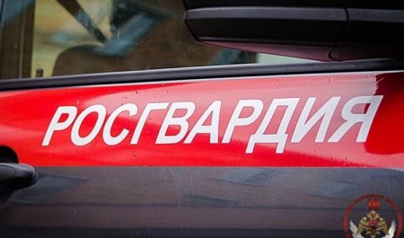 Няндомские росгвардейцы задержали жителя Шалакуши, объявленного в розыск