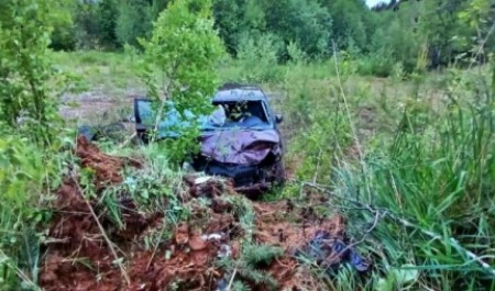 В Шенкурском округе произошло смертельное ДТП