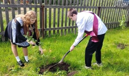 Школьники Красноборского округа присоединились к Международной акции «Сад Памяти»