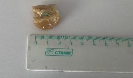 Женщина пыталась передать сим-карту осужденному в Плесецкую колонию