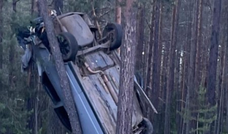 В Архангельской области авто вылетело в кювет и врезалось в деревья: водитель погиб